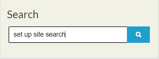 site search box